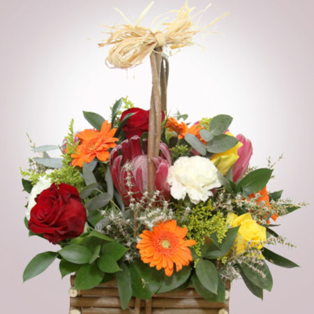 Basket 012