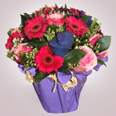 Fresh Arrangements 007