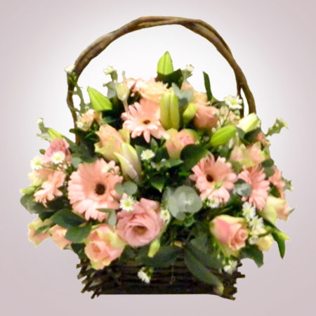 Shop 042