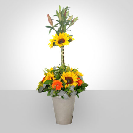 Contract Flowers 002