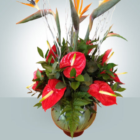 Contract Flowers 018