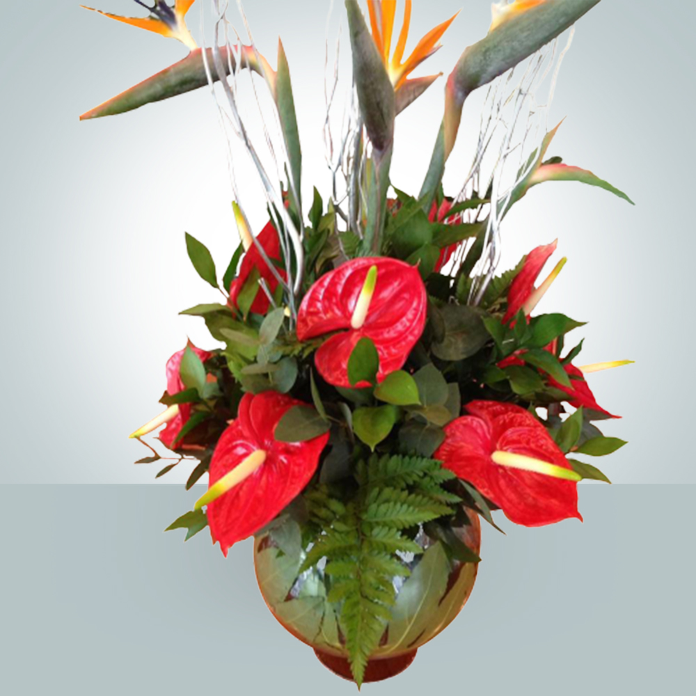 Contract Flowers 018