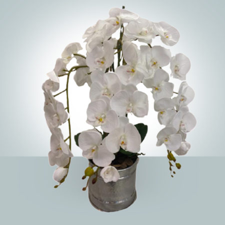 Artificial Plants and Flowers 011