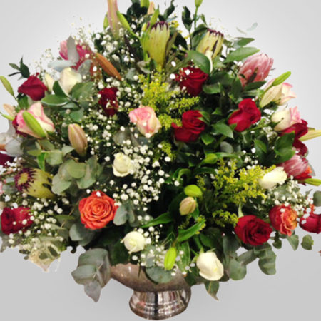 Weddings & Special Occasions 002